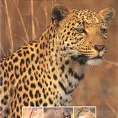 Mammals of southern Africa
